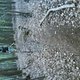 Dsc00225