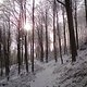 DSC01146