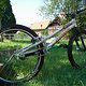 nbikeozonys 2