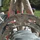 Alutech Brakebooster