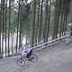 IMG 0011