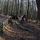 IMG 1913