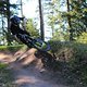 IMG 4138
