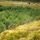 Annika Langvad and Kate Courtney during stage 6 of the 2018 Absa Cape Epic Mountain Bike stage race held from Huguenot High in Wellington, South Africa on the 24th March 2018

Photo by Sam Clark/Cape Epic/SPORTZPICS

PLEASE ENSURE THE APPROPRIATE