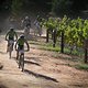 Riders pass through Tokara Vineyards during stage 6 of the 2019 Absa Cape Epic Mountain Bike stage race from the University of Stellenbosch Sports Fields in Stellenbosch, South Africa on the 23rd March 2019

Photo by Dwayne Senior/Cape Epic

PLEA