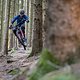 Gregor zeigt uns seine Hometrails und lässt es ordentlich stehen