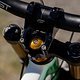 MTBNews
