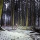 Winterpokal-Aktivität