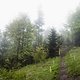 bielsko-biala-track-walk-62906