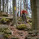 20250406-10 Sächsische Schweiz