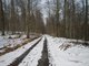 DSCN0476