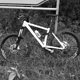 IMG 0047