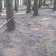 IMG 1007Large