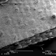 Reflective leg band in Scanning Electron Microscope 15x