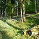 Vogostern2011-03