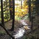 DSCN0564