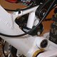DSC 0121 1200p