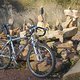 Fuchs MTB