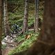 Lake-Bike-7722