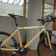 Nemus Concept