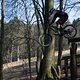 Bike Beerfelden P 228