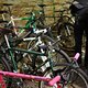 IMG 2001