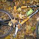 2005-10-14 004 Herbstbike