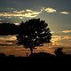 IMG 5964