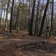 IMG 1764