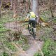 Bergauf bietet der Vaude Trail Spacer 18 sehr guten Tragekomfort und macht alle Bewegungen mit