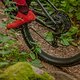 Foto Jens Staudt-Specialized Epic SWorks-Test-Review-8092