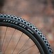 bike-stage-2023-vee-tire-2-6312