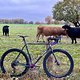 Fahrradtour
