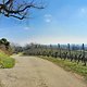 Kurztrip an den Bodensee Tag 4: Überlingen - Lindau