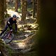 Schwalbe Clik Valve Specialized Stumpjumper 2025 PSturm-30
