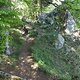 DSC00254