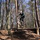 Bike Beerfelden P 294