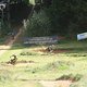 IMG 5827