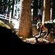 Val di Sole World Cup Donnerstag-4