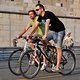 CriticalMass 1407 1712b