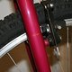 IMG 3318
