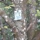 20140614 120305 (Large)