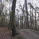 IMG 1443