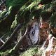 DSC02908