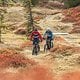 Mountainbike (13)