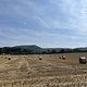 IMG 1922