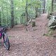 nicht abzweigen