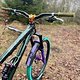 Das Cockpit ist aufgeräumt, die Basis bietet ein Rental Fatbar Carbon