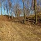 IMG 0089