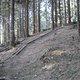 IMG 0966Large 1272301239